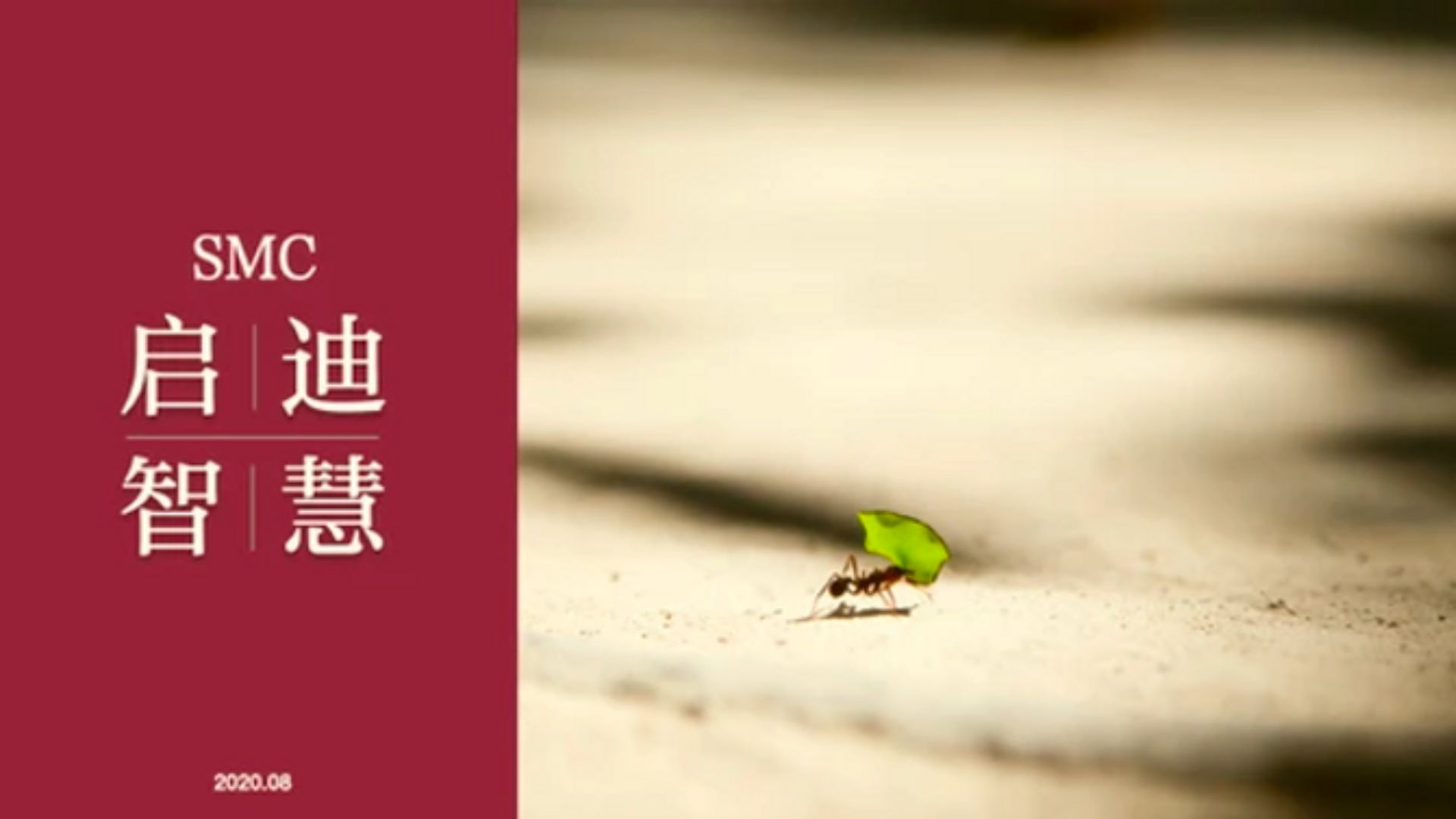 家书|努力:不亏待每一份热情和期许